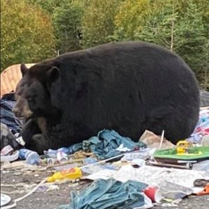 Meet your Posher, Jack